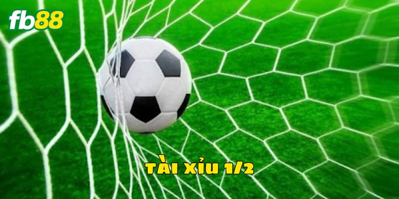 Bí kíp bắt kèo tài xỉu 1/2 thắng lớn