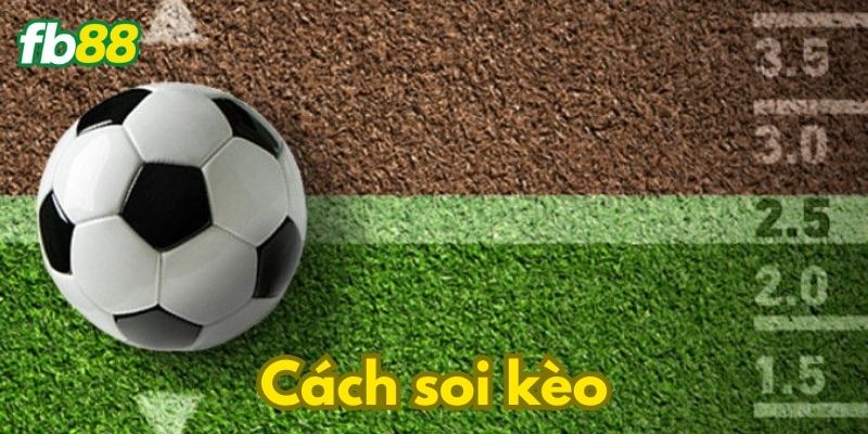 Cách soi kèo chuẩn như thần
