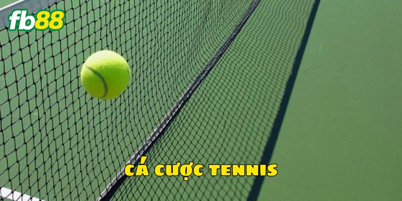 Lưu ý để chơi cá cược tennis hiệu quả