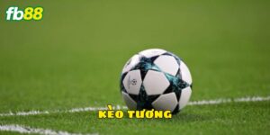 Tổng quan về kèo tương cực thú vị tại nhà cái